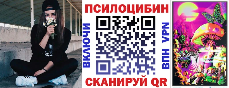 Псилоцибиновые грибы Psilocybe Минусинск
