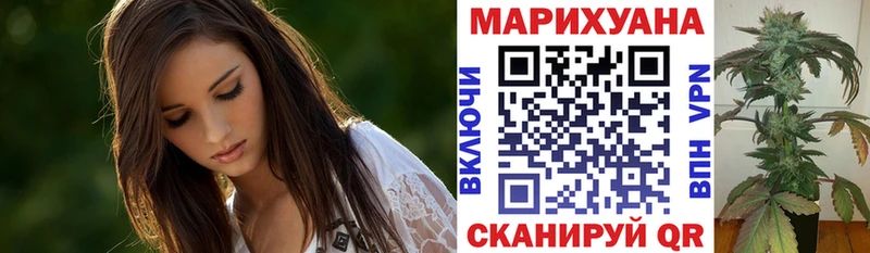 Канабис сатива  Минусинск 